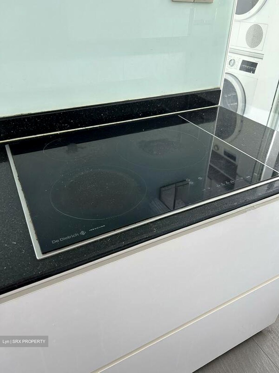 Gardenvista (D21), Condominium #503573351